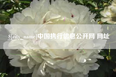 太康中国执行信息公开网 网址