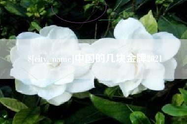 太康中国的几块金牌2021