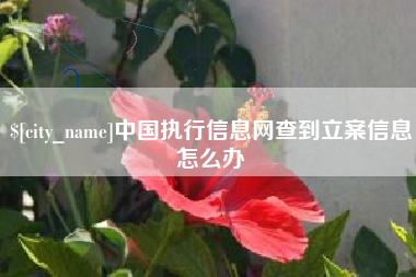 太康中国执行信息网查到立案信息怎么办