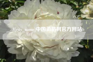太康中国消防网官方网站