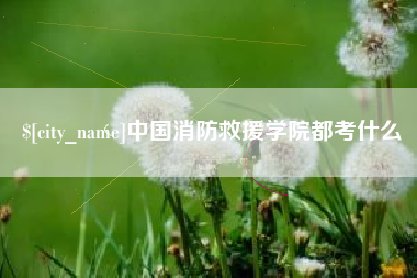 太康中国消防救援学院都考什么