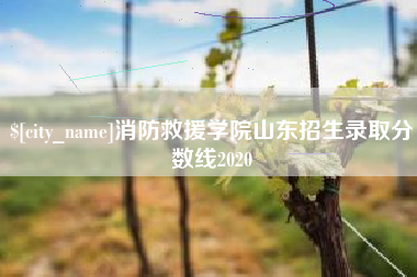 太康消防救援学院山东招生录取分数线2020