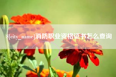 太康消防职业资格证书怎么查询
