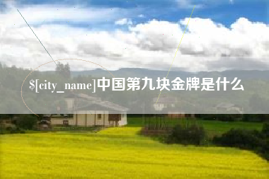 太康中国第九块金牌是什么
