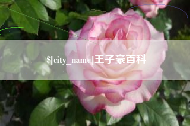 太康王子豪百科