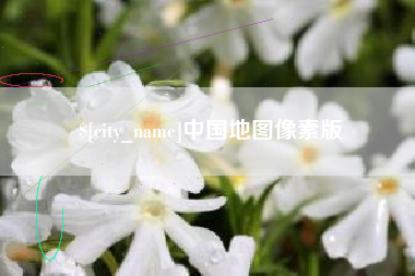 太康中国地图像素版