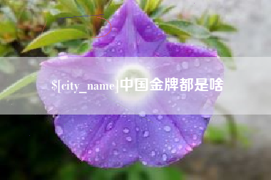 太康中国金牌都是啥