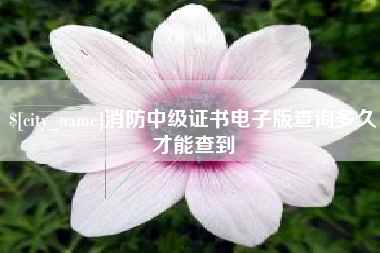 太康消防中级证书电子版查询多久才能查到
