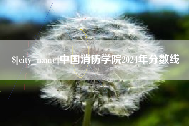 太康中国消防学院2024年分数线
