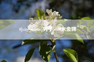太康男子5000米金牌
