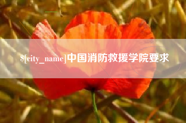 太康中国消防救援学院要求