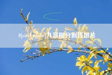 太康九宫图分割线图片