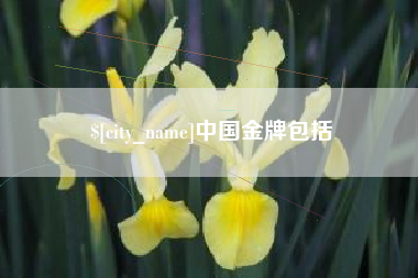 太康中国金牌包括