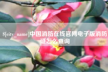 太康中国消防在线官网电子版消防证怎么查询