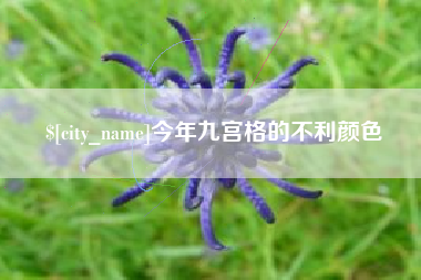 太康今年九宫格的不利颜色