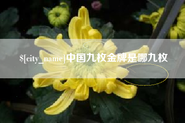 太康中国九枚金牌是哪九枚