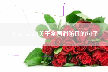 太康关于全国消防日的句子