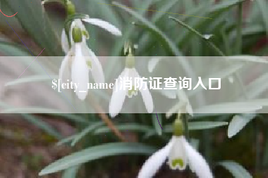 太康消防证查询入口