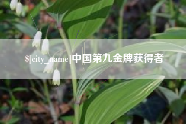 太康中国第九金牌获得者