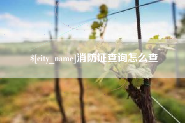 太康消防证查询怎么查