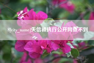 太康失信被执行公开网查不到