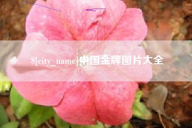 太康中国金牌图片大全