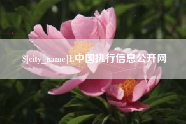 太康1.中国执行信息公开网