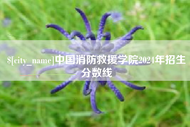 太康中国消防救援学院2024年招生分数线