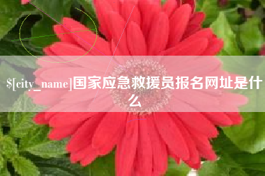 太康国家应急救援员报名网址是什么
