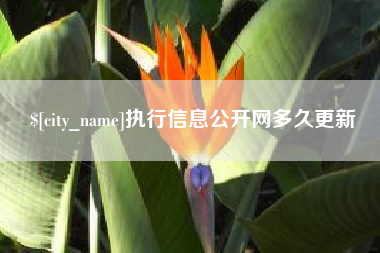太康执行信息公开网多久更新