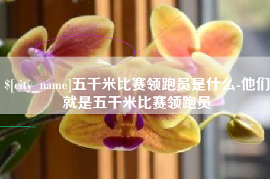 太康五千米比赛领跑员是什么-他们就是五千米比赛领跑员