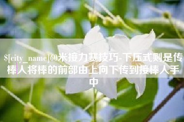太康60米接力赛技巧-下压式则是传棒人将棒的前部由上向下传到接棒人手中