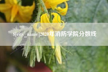 太康2020年消防学院分数线