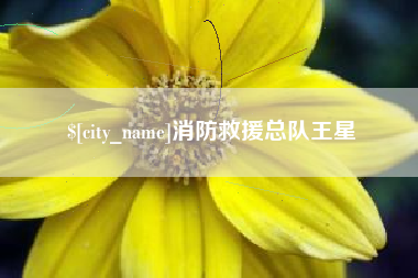 太康消防救援总队王星