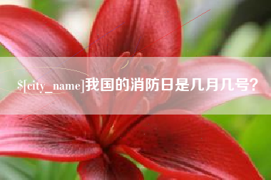 太康我国的消防日是几月几号？