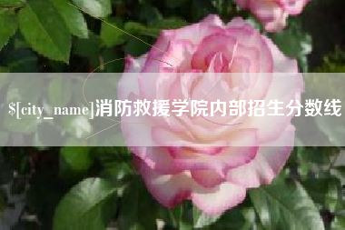 太康消防救援学院内部招生分数线