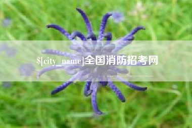 太康全国消防招考网