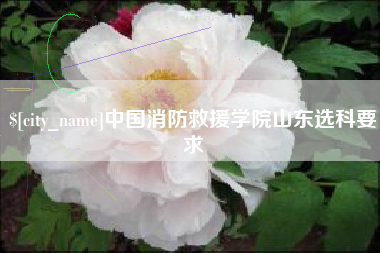 太康中国消防救援学院山东选科要求