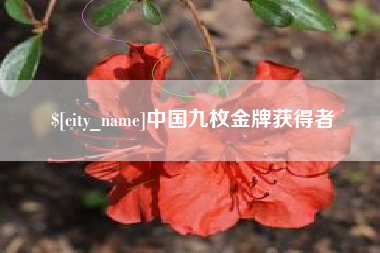 太康中国九枚金牌获得者
