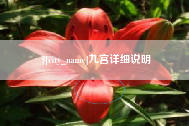 太康九宫详细说明