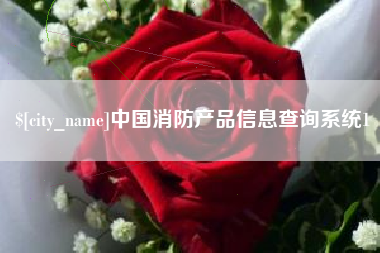 太康中国消防产品信息查询系统1