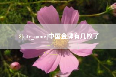 太康中国金牌有几枚了