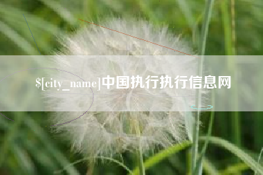 太康中国执行执行信息网