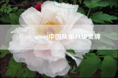 太康中国队第八块金牌