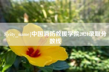 太康中国消防救援学院2021录取分数线