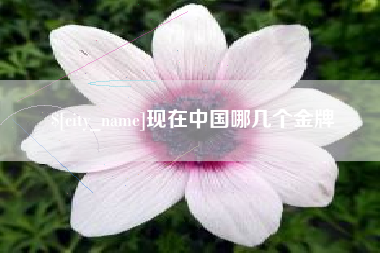 太康现在中国哪几个金牌