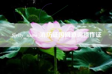 太康消防证国网查询操作证