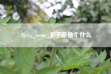 太康王子豪是个什么