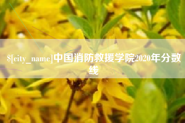 太康中国消防救援学院2020年分数线
