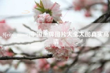 太康中国金牌图片大全大图真实高清